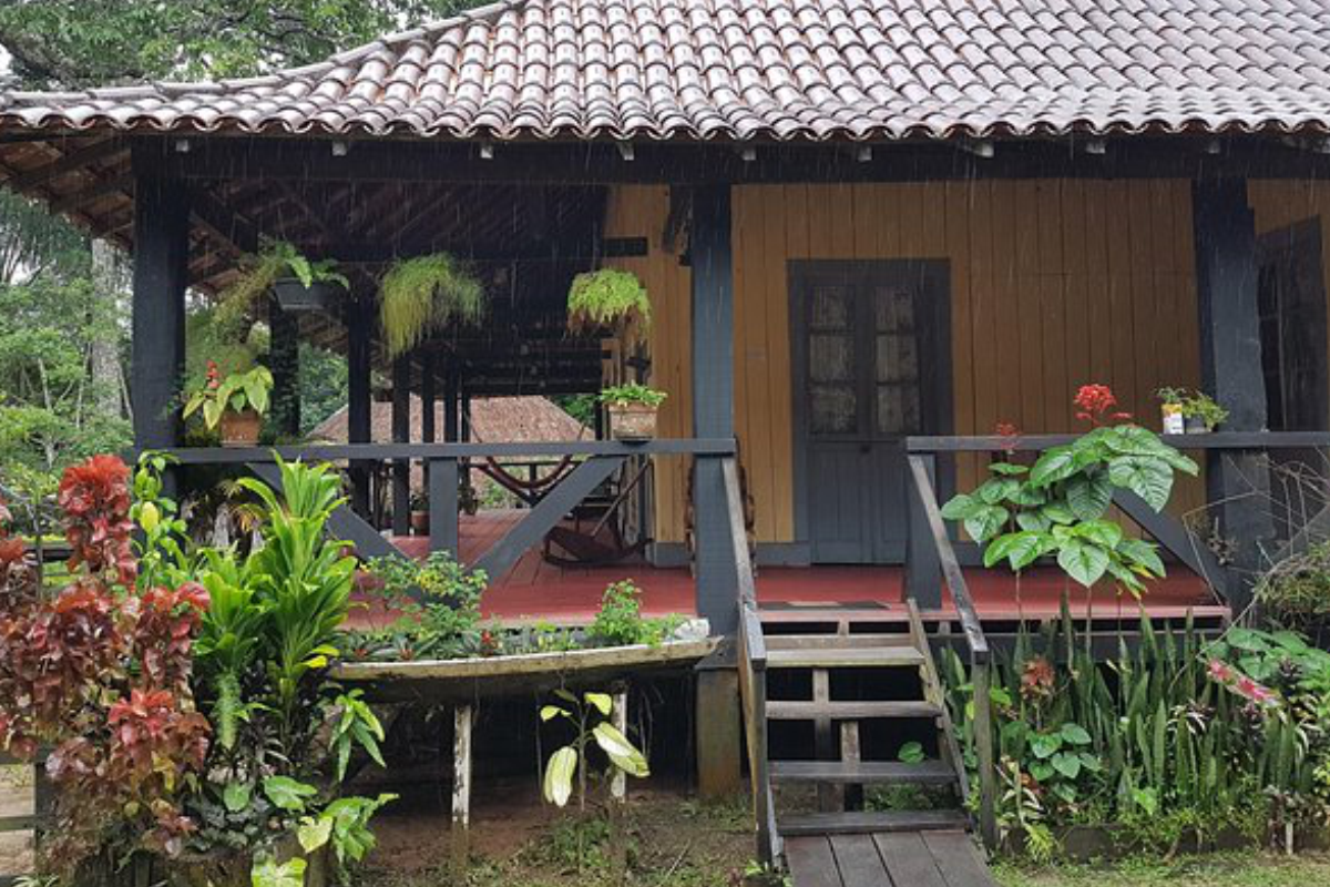 Passeio Museu da Borracha com cenário do filme The Jungle